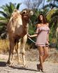 Tunika Juliet Taupe M-461 (4)