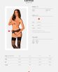 Pas do pończoch Lacrisia garter belt