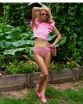 Figi Lollipop Brasil