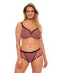 Figi Lise 1259